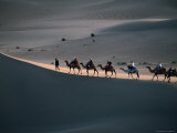 Camel Caravan Walk on Sand Dune in Taklamakan Desert  China