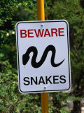 Snake Sign at Museum of Modern Art in Heidi  Melbourne  Australia