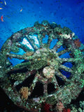 A Locomotive Wheel is One of the Remains of the Wreck of the Numidea  Sank in 1901  Egypt
