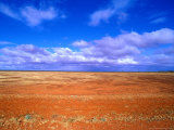 Barren Landscape on Desert Highway  Australia