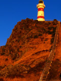 Cape Palliser Lighthouse and Staircase  Wairarapa  Wellington  New Zealand