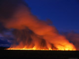 Harvested Sugar Cane Fields Burning Off  Mossman  Australia