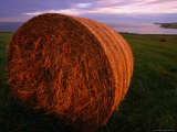 Hay Bale in Field at Sunset  South Ronaldsay  Orkney Islands  Scotland
