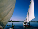 Fishing Sail Boats  or Felluca's  on Nile River  Egypt