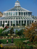 Palm House or Palmehus  Greenhouse in the Botanic Gardens  Copenhagen  Denmark