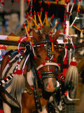 Decorated Horse and Cart Taxi in Selong  Indonesia