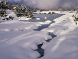 Snow on Franklin River  Cradle Mountains  Lake St Clair National Park  Tasmania  Australia