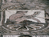 Ancient Mosaic  Petra  Ma'An  Jordan