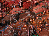 Detail of Fishing Nets  Rinella  Sicily  Italy