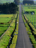 Straight Rural Road  Wairarapa  Wellington  New Zealand