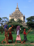 Villagers Walking on Path Near Thatbyinnyu Old Bagan  Mandalay  Myanmar (Burma)