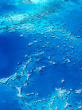 Aerial View of Lagoon South  New Caledonia