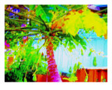 Fruitful Papaya Tree