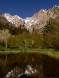Lake in Front of Palisade Glacier  Owens Valley  California  USA