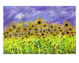 Sunflowers In The Wind