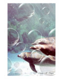 Dolphin Bubbles