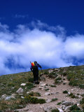 Climber Heading to the Summit of Mt Elbert  Colorado  USA