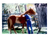 061907 Louisiana Cowboy