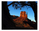 Monumental Forest