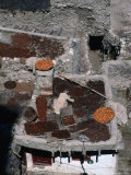 Drying Apricots on Rooftop  Altit  Pakistan