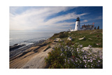 Lighthouse with Wildflowers Pemaquid Point Maine