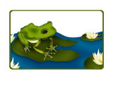 Pretty Froggie