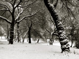 Queens Park Manchester in the Winter