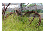 Rusty Wheels III