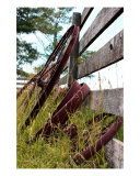Rusty Wheels I