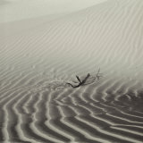 Rippling Sand Dunes of Death Valley California