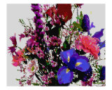 Flower II
