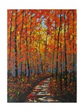 Autumn Path IX