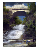 September Scholar In Cascadilla Gorge