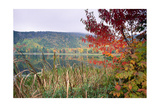 Autumn Scenic  Acadia National Park  Maine