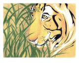 Tiger Traveler