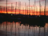 Yacht Harbour  Sheppard's Marina  Gibraltar 1970s