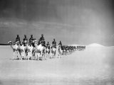 Egyptian Camel Corps