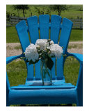 Sitting Back In My Blue Adirondack - White Peonies