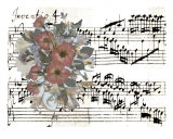 Wedding Song