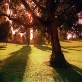 Sunset Park in Essex