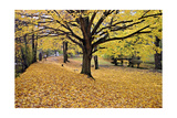 Halloween Scenic  New Jersey