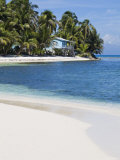 Belize  Ranguana Caye  Palm Trees and Beach