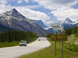 Road  Yoho National Park  British Columbia  Canada
