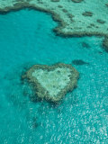 Australia  Queensland  Whitsunday Coast  Great Barrier Reef  Heart Reef  Aerial View