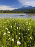 Kootenay National Park  British Columbia  Canada
