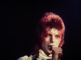 David Bowie in Concert  1973