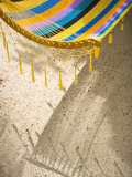 Hammock on Beach  Caye Caulker  Belize