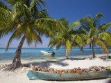 Belize  Laughing Bird Caye  Canoe Filled with Coconut Husks on Beach