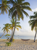Panama  Comarca de Kuna Yala  San Blas Islands  Kuanidup Grande  Tropical Beach
