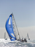 Harvest Moon Regatta  Galveston  Texas  USA